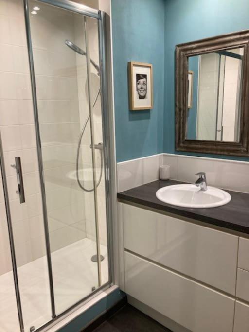 Agreable Et Spacieuse Maison Centre Ville Saint-Omer المظهر الخارجي الصورة