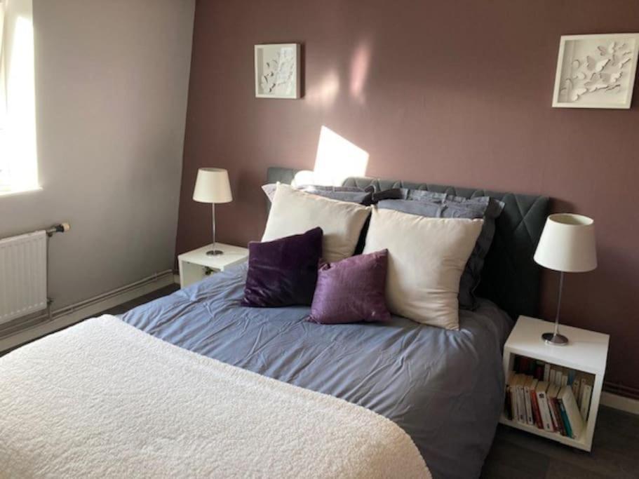 Agreable Et Spacieuse Maison Centre Ville Saint-Omer المظهر الخارجي الصورة